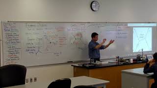 Physics 4C  Feynman Diagram  Energy Conservation at Primitive Vertex [upl. by Stanway780]