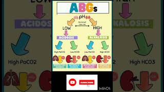 Acidosis and Alkalosis [upl. by Etnuahs]