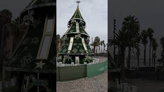 There is already a Christmas tree in Las Palmas laspalmas travel playa beach [upl. by Navoj]