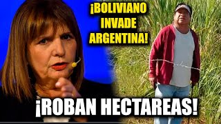 💥BOLIVIANO ROBA 2500 HECTÁREAS Y LOS ANEXA A BOLIVIA 💥BULLRICH LOS SACA CAGANDO [upl. by Melonie]