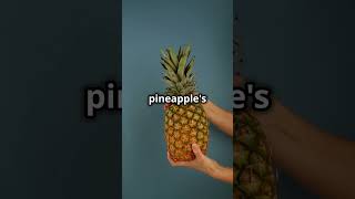 Pineapple Eats You Back 🍍 [upl. by Airednaxela]