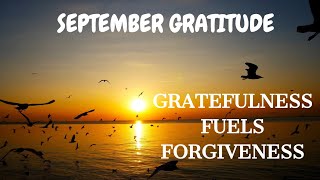 Gratitude Gives Freedom to Forgive [upl. by Sewell]