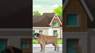 Dog cartoon shorts 🐕 Cartoon shorts humapneh2901 Cartoon Shorts 🐕 [upl. by Osicnarf]