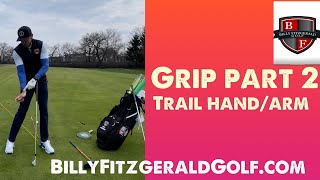 ⛳️Grip Part 2 Trail HandArmBillyFitzgeraldGolf ⛳️ [upl. by Tavish]