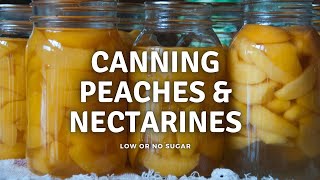 Steam Can Nectarines Peaches Low or No Sugar [upl. by Notyalk]