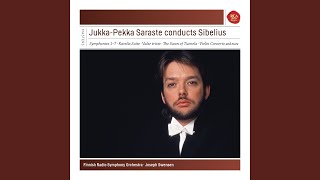 Violin Concerto in D Minor Op 47 I Allegro moderato [upl. by Ikairik464]