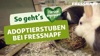 Ein Haustier aus dem Tierheim adoptieren Mit der Fressnapf Adoptierstube [upl. by Letnom402]