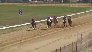 Bundaberg 20241105 Race 2 [upl. by Leda]