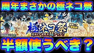 極ネコ祭ガチャに半額セール使うべきなの？（※キャラ解説＆限定ランキングは説明欄にリンクあります） にゃんこ大戦争 [upl. by Hodess]