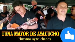 🔴 Popurri de 𝗛𝗨𝗔𝗬𝗡𝗢𝗦 𝗔𝗬𝗔𝗖𝗨𝗖𝗛𝗔𝗡𝗢𝗦 ⭐ con la Tuna Mayor de Ayacucho [upl. by Berck560]