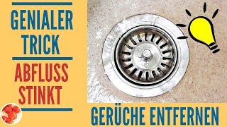 Genialer Trick Abfluss stinkt Mit diesen Hausmitteln den Abfluss reinigen  3 Bonustipps [upl. by Chien]