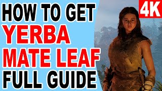 How to Get Yerba Mate Leaf and Yerba Mate Farm Location  Soulmask [upl. by Vasily]