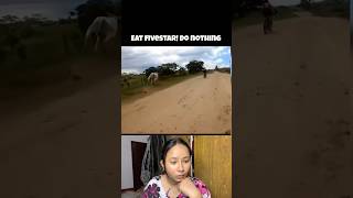 Eat fivestar Do nothing😅 meme funny funnymemes reactionvideo trending memes comedy reaction [upl. by Ttreve]