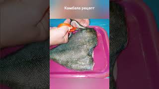 Камбала рецептКамбала жареная Камбала смажена Камбала как чиститьКамбала на сковороде камбала [upl. by Suhcnip]