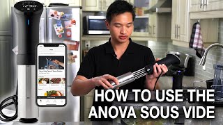 How to Use the Anova Sous Vide Precision Cooker [upl. by Ebonee484]