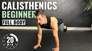 20 Min BEGINNER CALISTHENICS WORKOUT at Home  No Equipment [upl. by Anerres709]