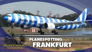 Planespotting Frankfurt Airport  August 2024  Teil 1 [upl. by Dihahs]