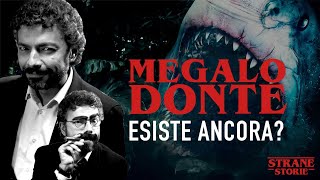 MEGALODONTE esiste ancora [upl. by Mcmahon]