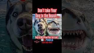 Avoid Sharks in 2025 with a New Pool   Set Up a FREE at Home Pool Consultation  6303831667 [upl. by Waverley]