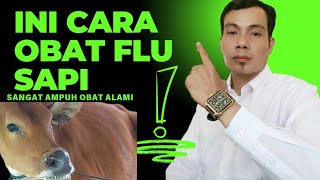 Obat Flu Sapi Ampuh Tidak BerteleTele Ini Cara Alami [upl. by Llerrahs]