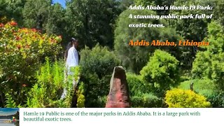 Addis Ababas Hamle 19 Park A stunning public park full of exotic trees  A Green Paradise [upl. by Adlaremse]