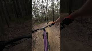 Nowra Now Has Rad MTB Jumps Funnel Web Trail at Superbowl [upl. by Chandra]