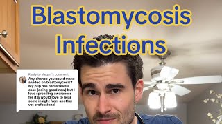 Blastomycosis Infections in Pets [upl. by Dacy]