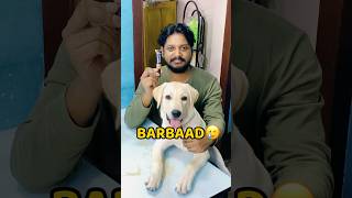 Pogo Makeup Kit Kha Gya😂😂 shorts vlog minivlog puppy labrador [upl. by Nahc]