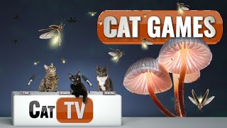 CAT TV  Fireflies in Mystical Lands  Cat TV Bug Videos For Cats to Watch  Relax my Cat 😻 [upl. by Yditsahc]