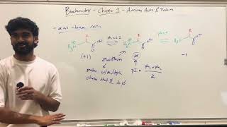 MCAT Biochemistry Chapter 1 Amino Acids Peptides and Proteins Part 2 [upl. by Robert]