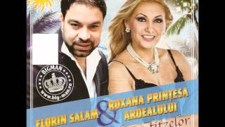 Florin Salam si Roxana Printesa Ardealului  Am acasa un tablou 2011 [upl. by Arul534]