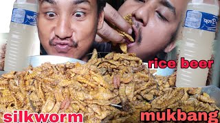 Preparing and eating spicy silkworm in naga traditional style with rice beer [upl. by Lisabet]