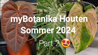 myBotanika Houten Sommer 2024 🌱  Teil 2 [upl. by Oguh]