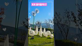 용담산 글린공원민들레 홀씨되어추석노래 [upl. by Peers]