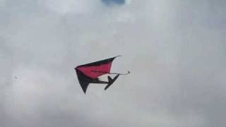 Rogallo kite wing RC Easy Star [upl. by Akcirred]