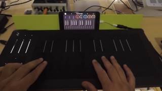 Roli Seaboard Rise 25 with Seaboard 5D iOS app short quick demo [upl. by Olwen]