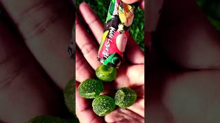 kachha aam stonesoft stonesoft chewyoutubeshorts candy [upl. by Arelus869]