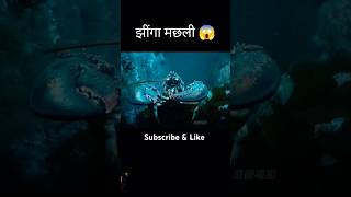 Is jhinga machhali Mein Khatarnak 😨🤮 virus film factsinhindi samundarmachhali Khatarnakvirus [upl. by Selinda]