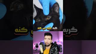 چرا این ژل سبز رو به چشم گربه ها میزنن 🐱👁️ [upl. by Keen]