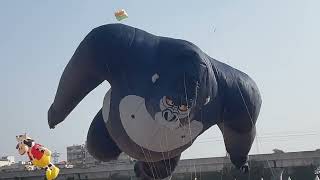 Kite Flyting Festival Hyderabad [upl. by Imhsar797]