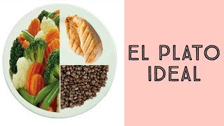 Como BAJAR DE PESOo sin contar calorias EL PLATO IDEAL [upl. by Tabbatha]