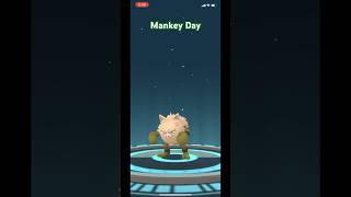 4 Shinies amp 1 Evolution shinypokemon pokemongoshiny pokemongoshorts pokemongo mankey primeape [upl. by Anuahc]