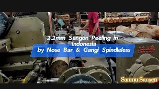 22mm Sengon Peeling in Indonesia by Nose bar amp Gangi Spindleless [upl. by Adnara]