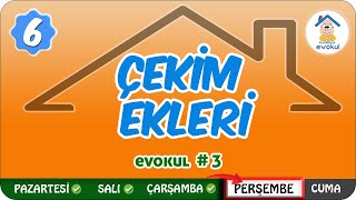 Çekim Ekleri  6 Sınıf uzaktanegitim evokul Kampı [upl. by Adohr404]