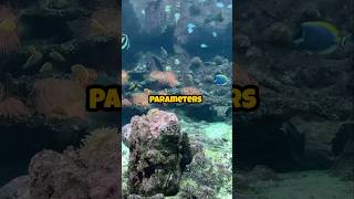 Reefing EssentialsUnderstanding Water Parameters [upl. by Adolphe]