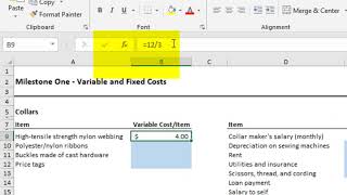 ACC202 Variable and Fixed Costs [upl. by Norre]