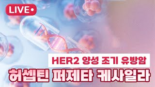 HER2 양성 조기 유방암 허셉틴 퍼제타 케사일라 [upl. by Ewens226]