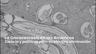 La Oncocercosis en las Américas Ciencia y políticas para su efectiva eliminación [upl. by Eenafit]