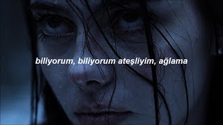 Sickick  Intro Infected Türkçe Çeviri [upl. by Amitarp350]