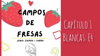 campos de fresas 13 [upl. by Eilsil903]